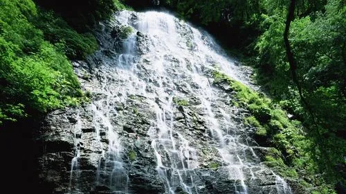 节能信息化高标准